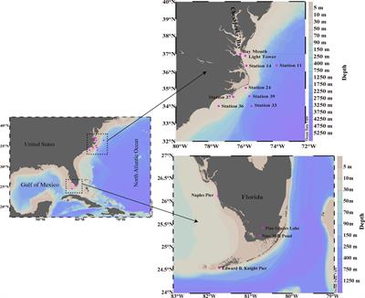Unraveling sources of cyanate in the marine environment: insights from cyanate distributions and production during the photochemical degradation of dissolved organic matter